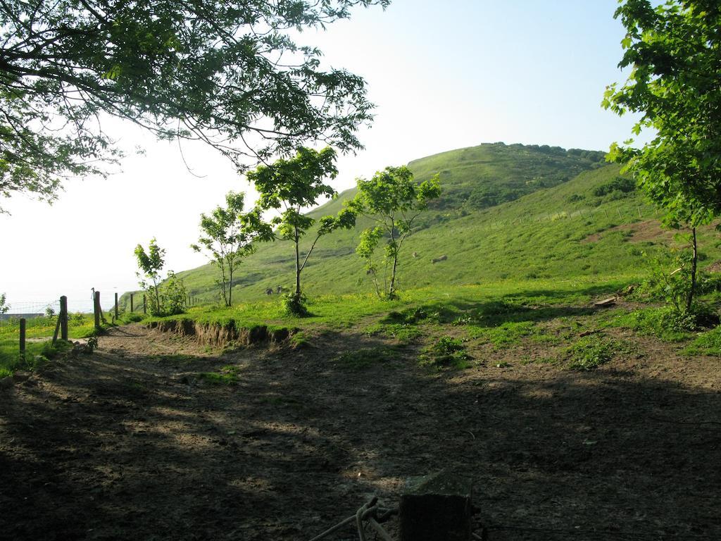 Saint-Jouin-Bruneval La Villa Flore חדר תמונה